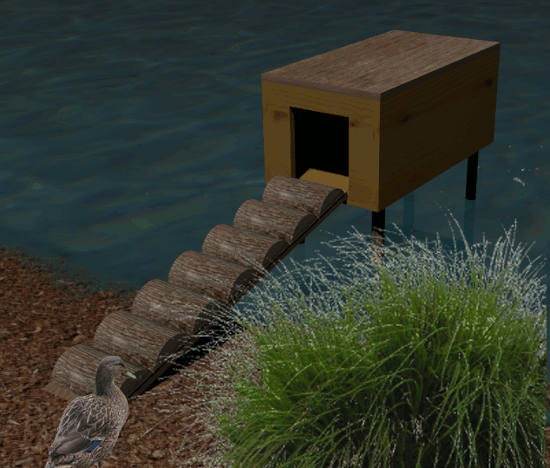 canards 3