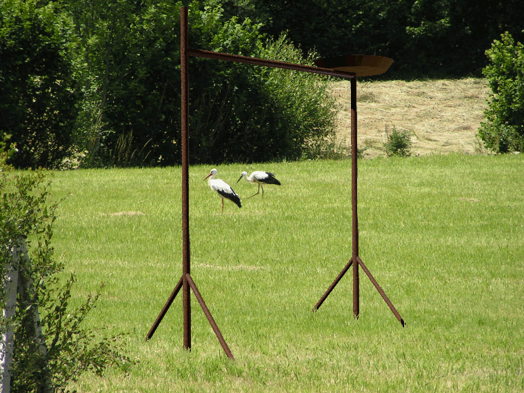 cigogne 4