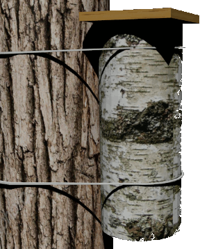 nichoir mésange boréale