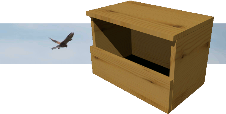 nichoir pour crécerelle (3)