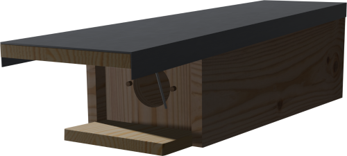 modèle de Rolf Engel