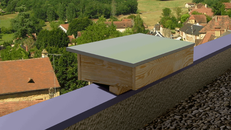 nichoir pour le martinet alpin (3)