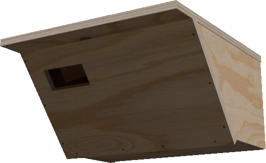 nichoir pour le martinet alpin