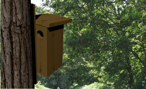 positionnement du nichoir