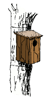 fixation sur un tronc