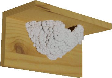 nichoir papier mâché