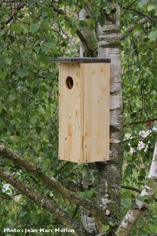 nichoir pour pics