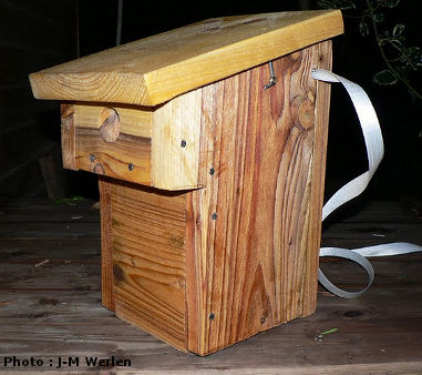 vue générale du nichoir