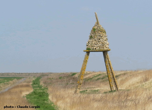 nichoir pour faucon crécerelle de la baie de l'aiguillon
