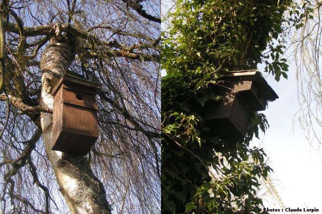 nichoir universel et nichoir à balcon