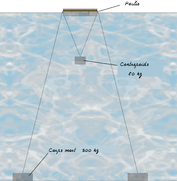 arrimage du radeau à sternes