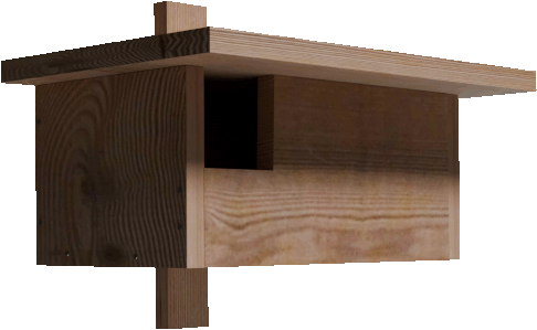 nichoir rougequeue à front blanc