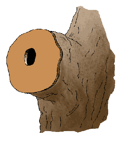 trou naturel aménagé